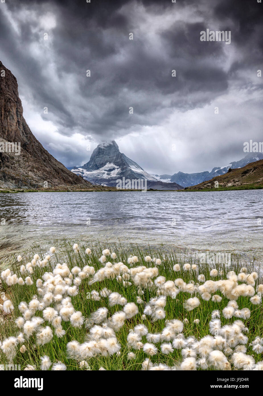 Le coton de l'Lake alors qu'un orage Riffelsee hits le Cervin Zermatt Canton du Valais Suisse Europe Banque D'Images