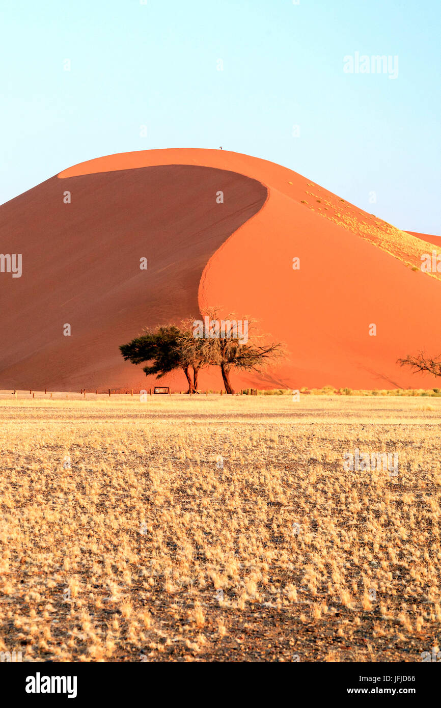 La Dune 45 dune star composé de 5 millions d'ans sable Sossusvlei désert du Namib Naukluft National Park en Afrique Namibie Banque D'Images