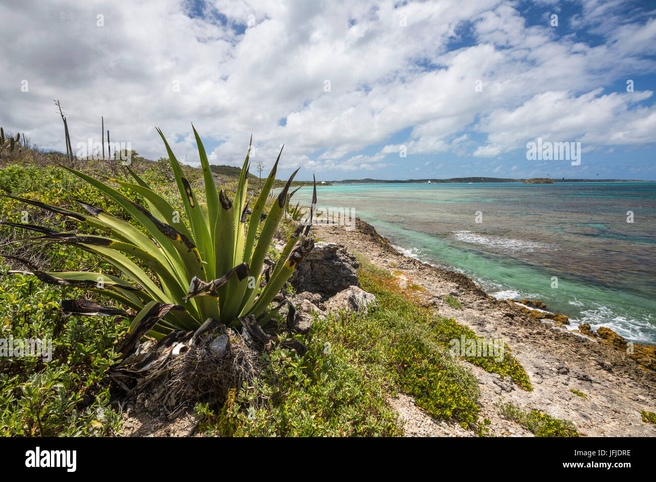 Les plantes vertes et l'eau turquoise de la mer des Caraïbes de l'île Green Antigua-et-Barbuda Antilles île sous le vent Banque D'Images