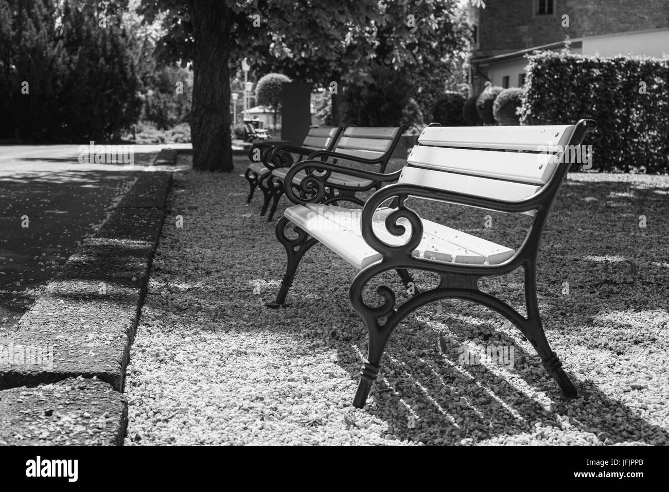 Des bancs vides dans le parc Banque D'Images