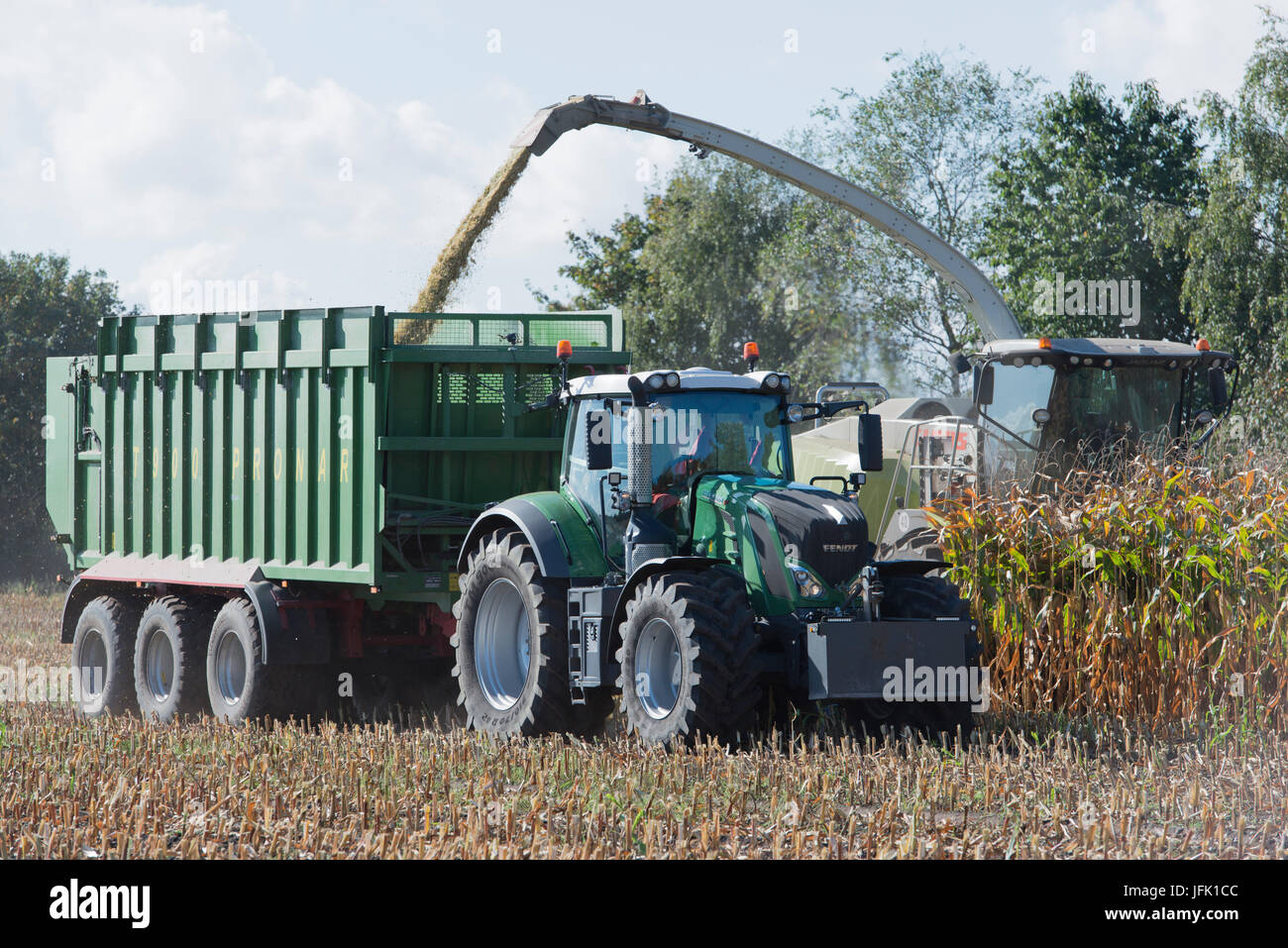 L'ensileuse maïs avec le tracteur à la récolte de maïs Banque D'Images