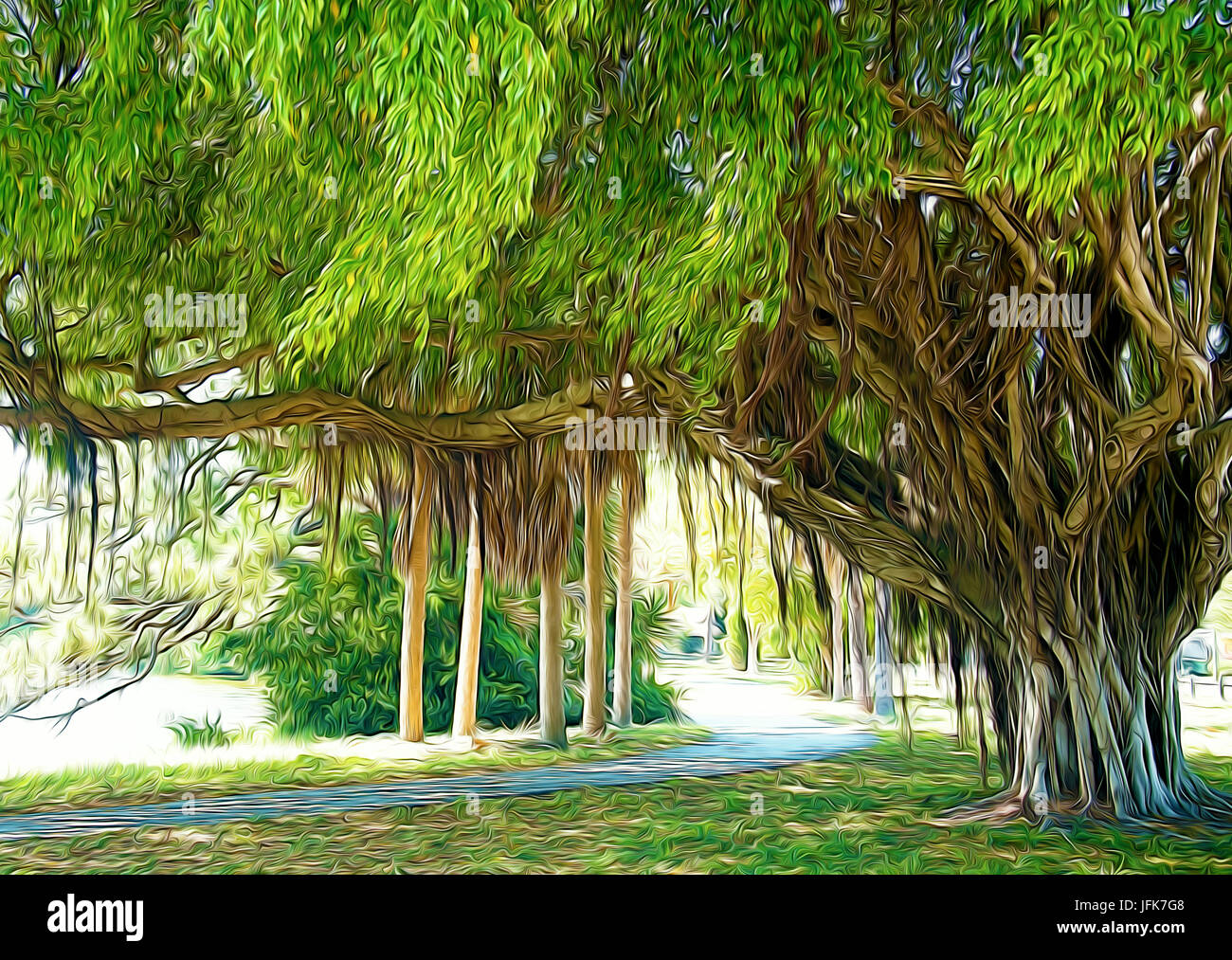 Arbre de végétation Banque D'Images Arbre de végétation Banque D'Images