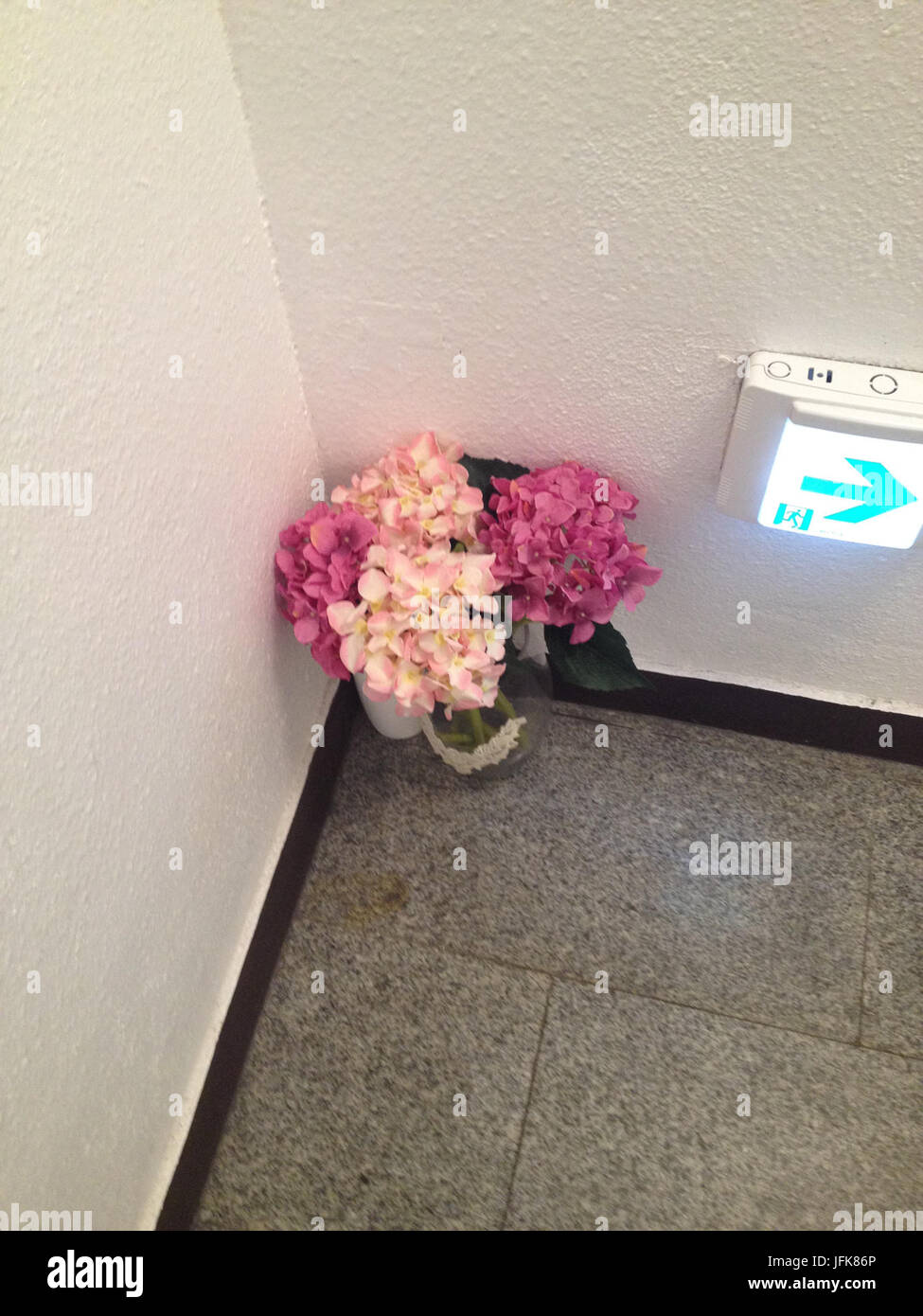 2014-04-12 IMG 6951 BCE59BCAPI491EBAAA8 Banque D'Images 2014-04-12 IMG 6951 BCE59BCAPI491EBAAA8 Banque D'Images