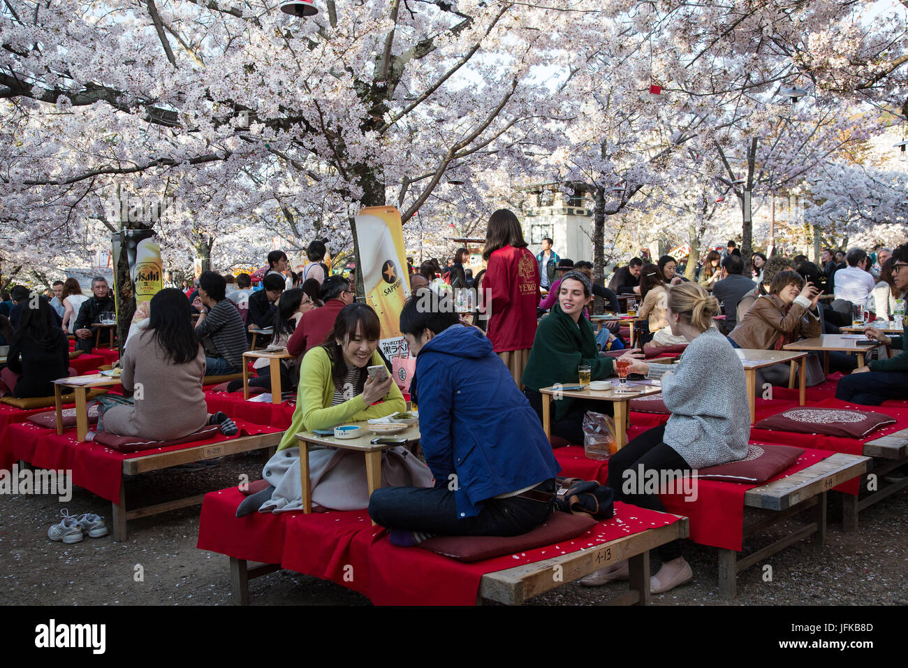 Hanami japonais à Tokyo pendant la saison des cerisiers en fleur Banque D'Images