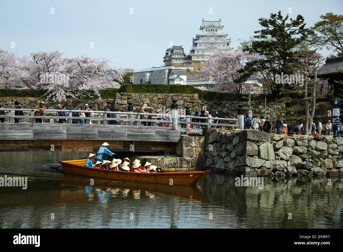 Les fleurs de cerisier au château de Himeji au Japon Banque D'Images
