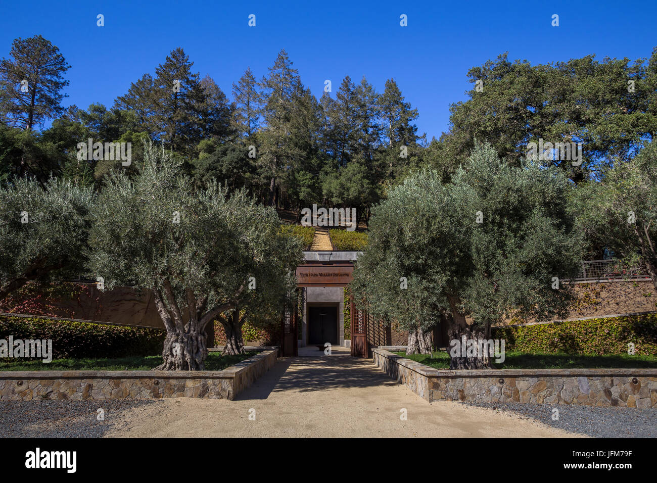 Les grottes, la réserve de la vallée de Napa, Saint Helena, Napa Valley, Comté de Napa, Californie, Etats-Unis, Amérique du Nord Banque D'Images