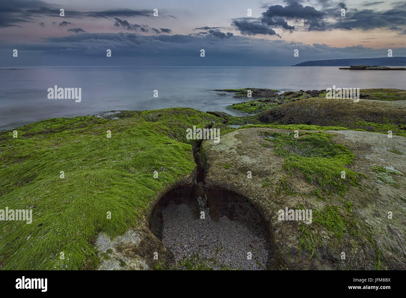 Après-midi vert Banque D'Images