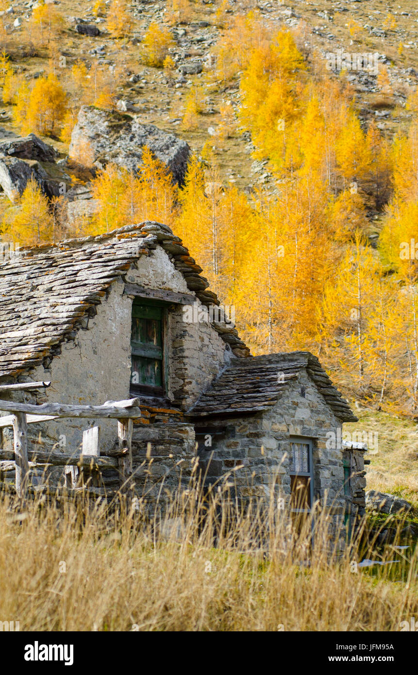 L'architecture typique de l'Ossola dans un pâturage (Val Divedro, Ossola, Piémont, Italie) Banque D'Images