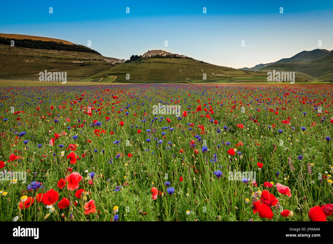 Lever du soleil de Castelluccio di Norcia dans la saison de floraison, Ombrie, Italie, Europe Banque D'Images