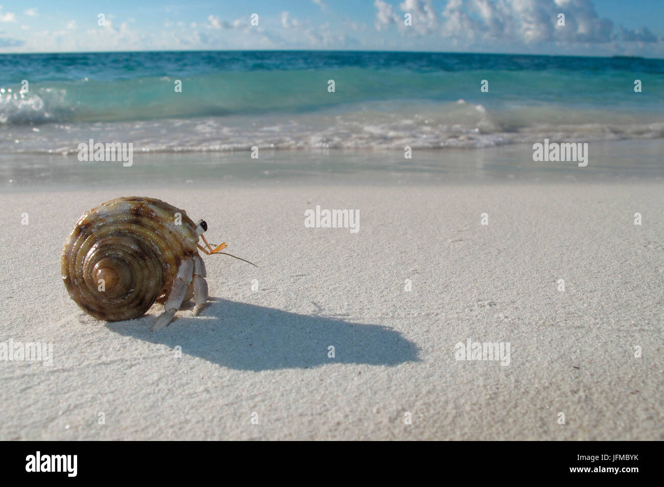 Les Maldives beach et la mer avec l'ermite Banque D'Images