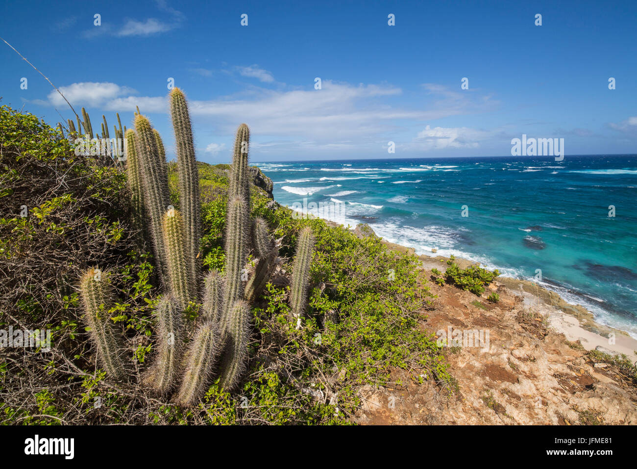 Cactus et plantes entourent le turquoise de la mer des Caraïbes La Grotte Antigua et Barbuda Antilles Îles sous le vent Banque D'Images