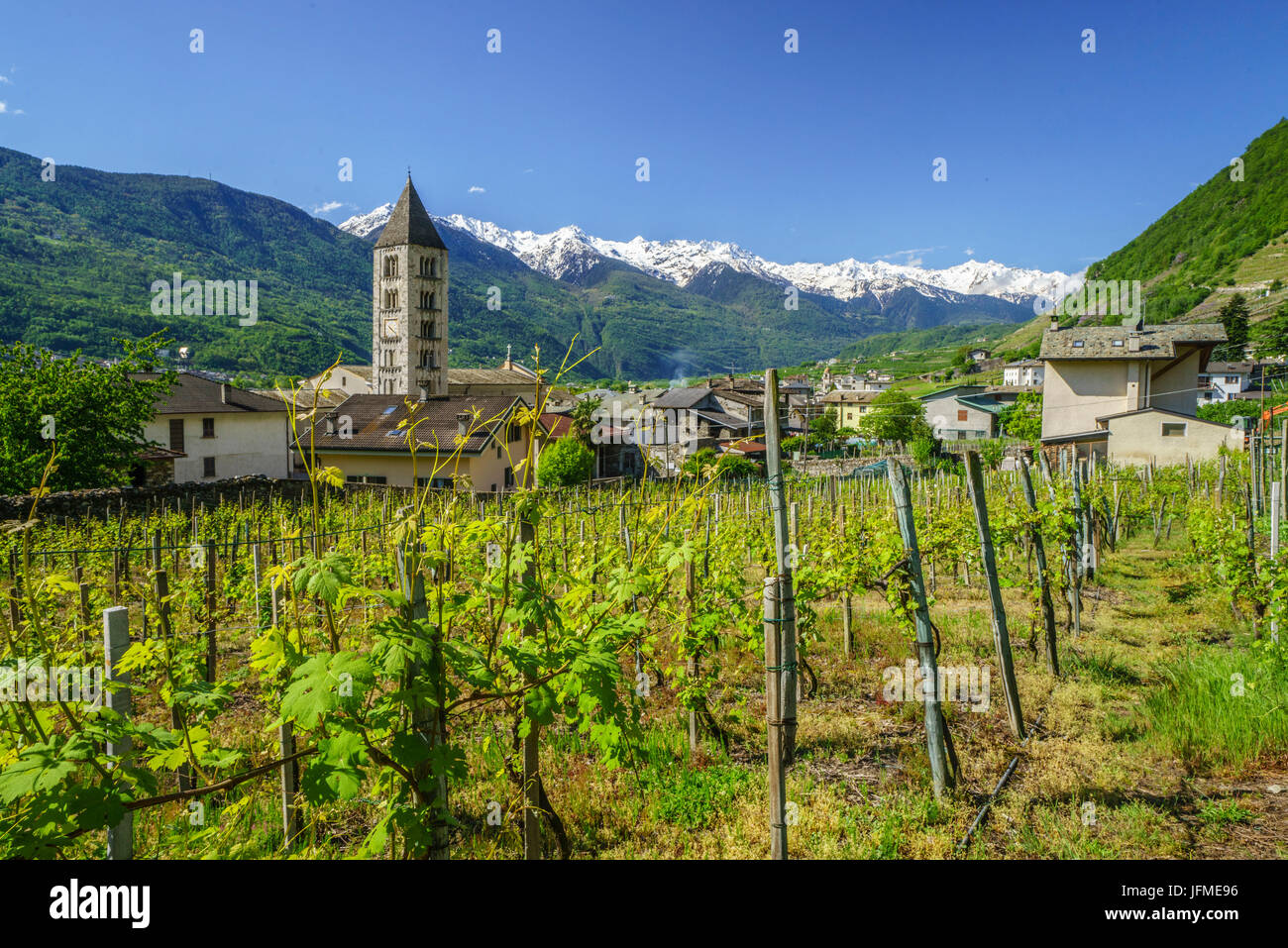 Église de Villa di Tirano par les vignobles en terrasses de la Valteline Bianzone province de Sondrio Lombardie Italie Europe Banque D'Images