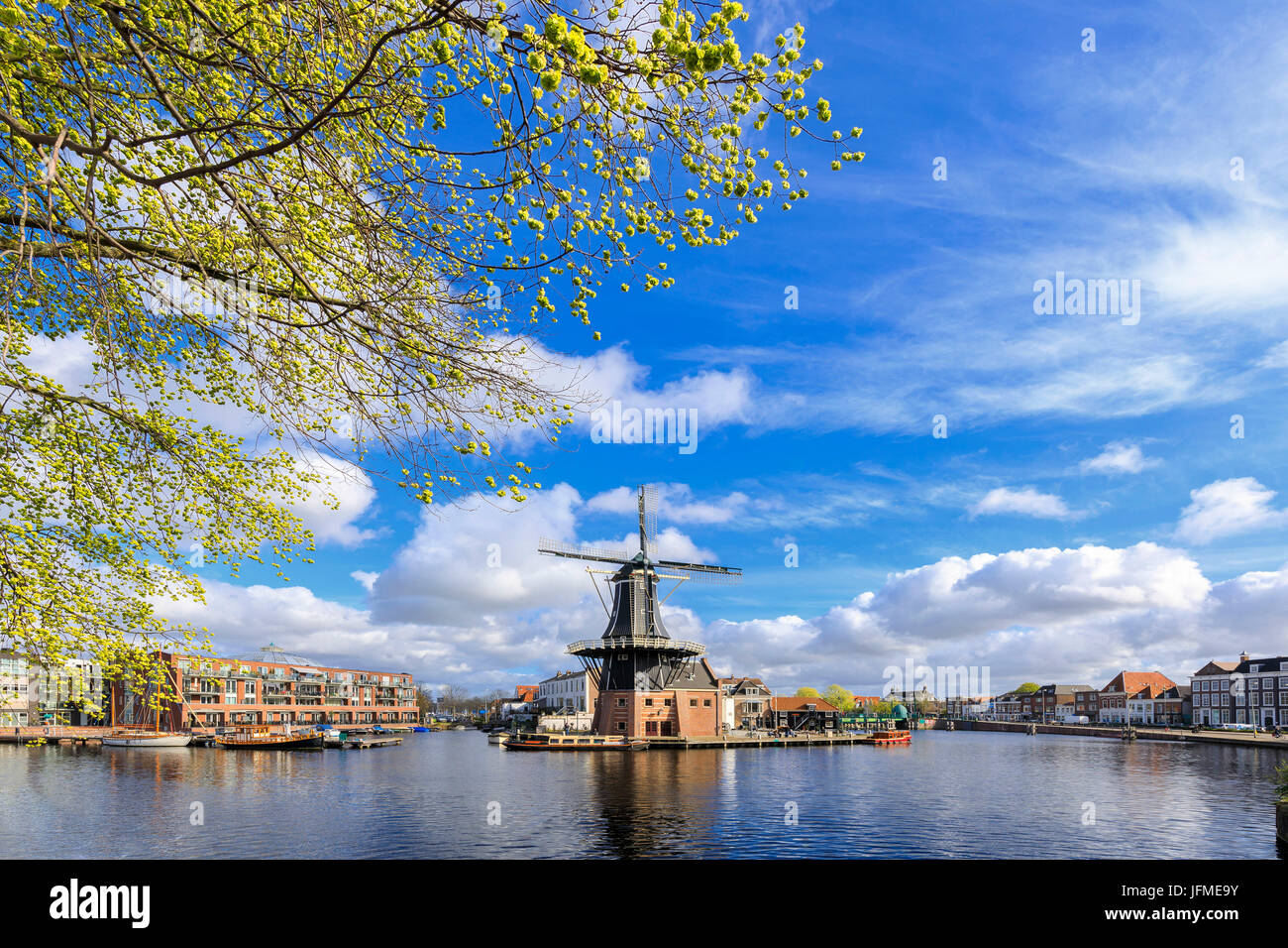 Les branches d'arbres encadrent la Moulin De Adriaan reflétée dans un canal de la rivière Spaarne Haarlem aux Pays-Bas Hollande du Nord Europe Banque D'Images