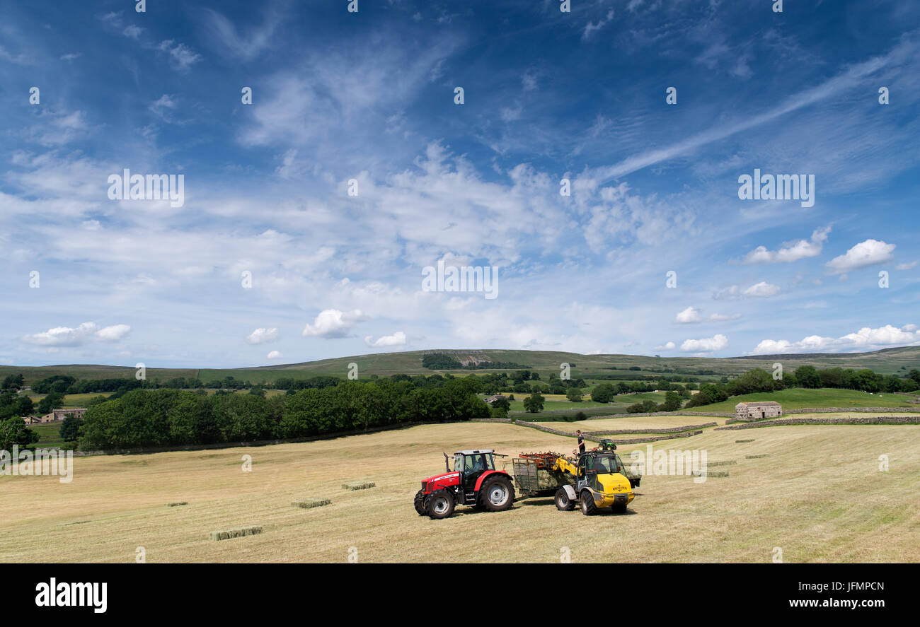 Ramasser des petits ballots de foin dans la prairie de montagne en Savoie, à l'aide d'un système 8. Banque D'Images