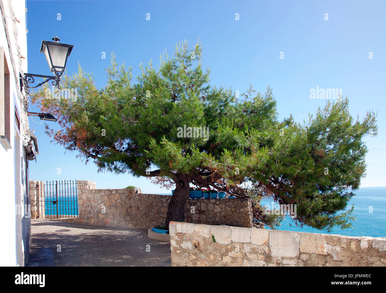 Arbre d'ombrage dans la vieille ville de Peniscola, Castellon, Espagne Banque D'Images