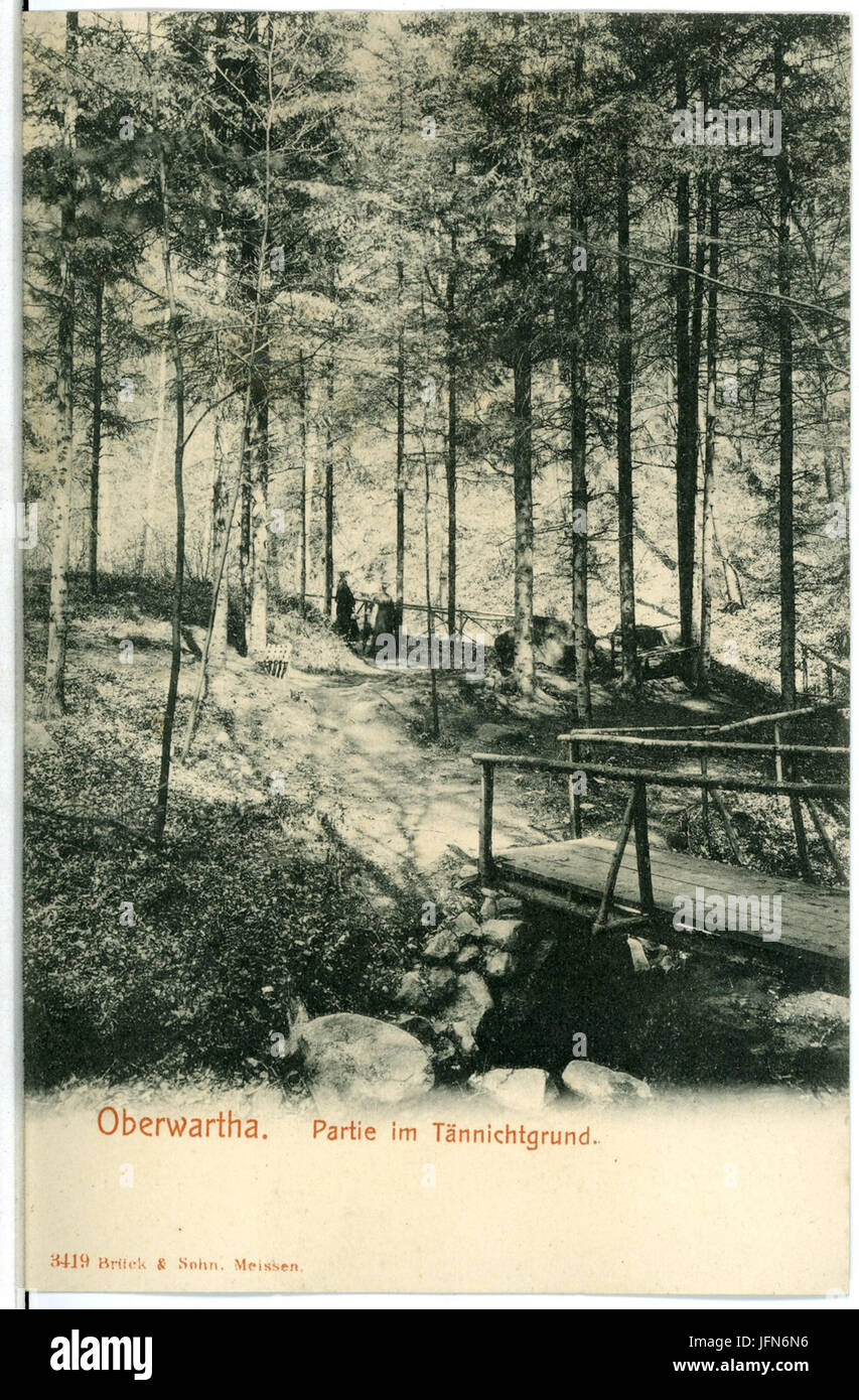 03419-Oberwartha-1903-Im Tännichtgrund-Brück & Sohn Kunstverlag Banque D'Images