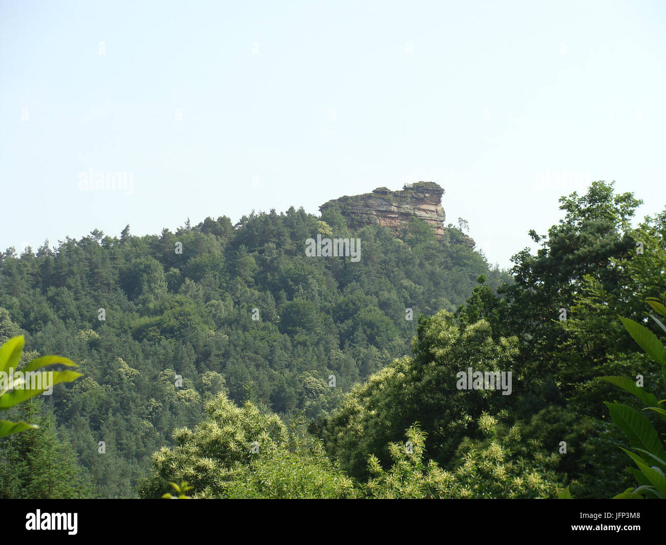 2012 3 Pfälzerwald Haselstein Banque D'Images