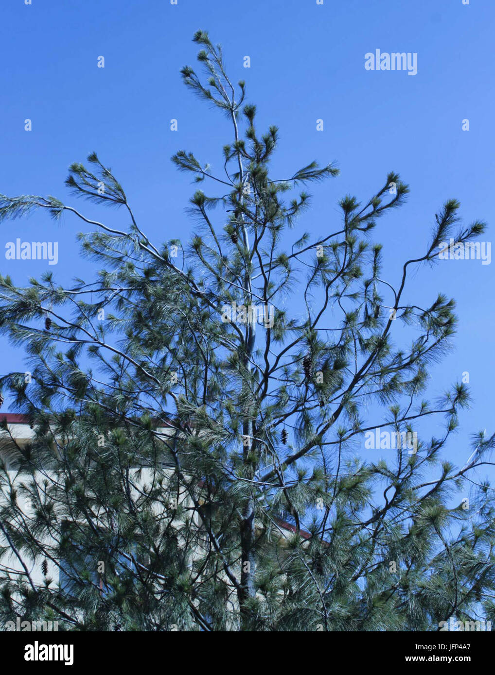 2013 0408 9999 Komín 88u Banque D'Images