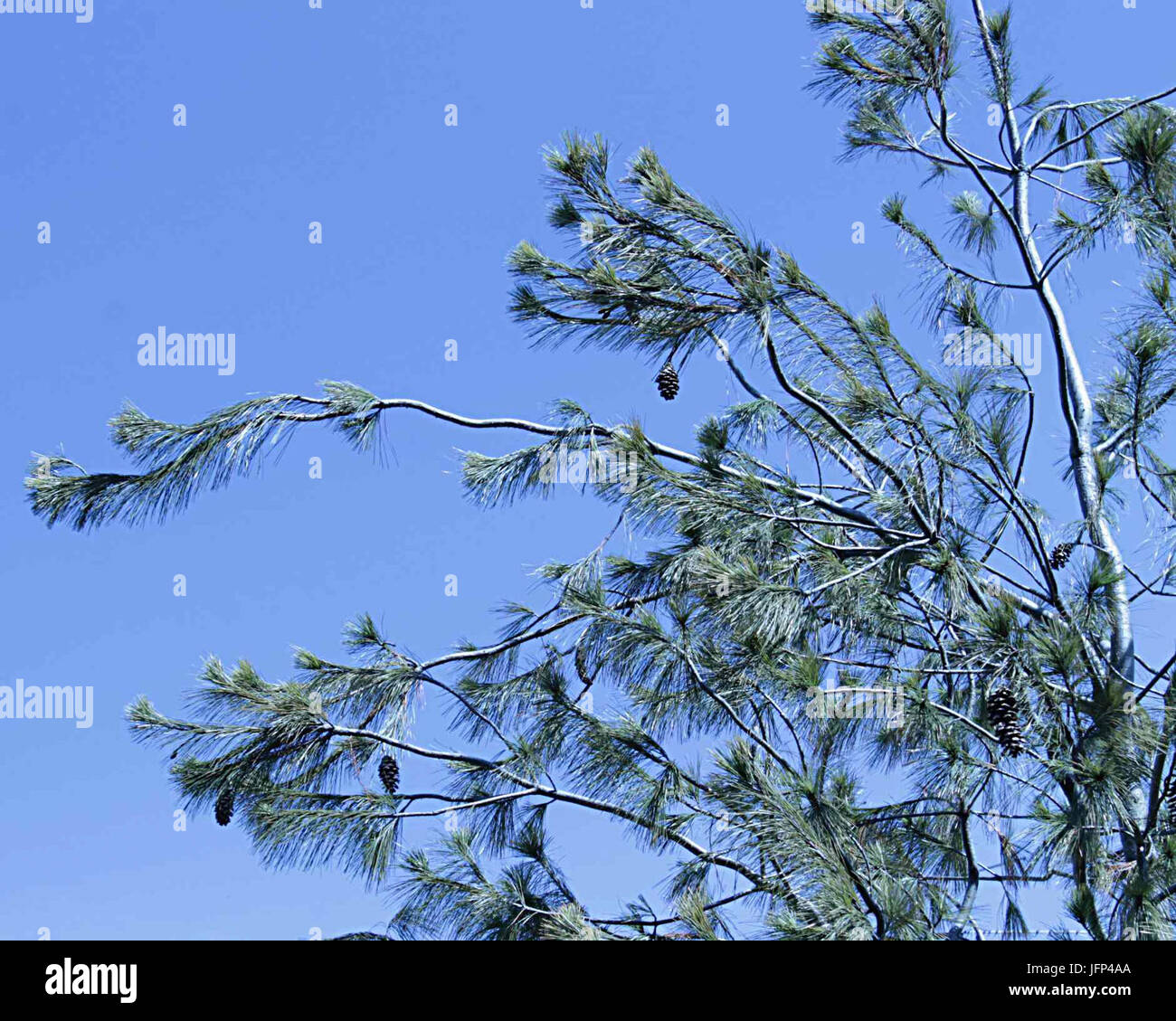 2013 0408 9999 Komín 106u Banque D'Images