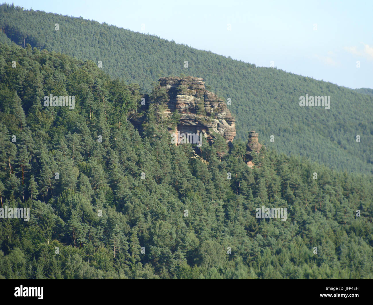 2013 Kleiner Rauhberg Pfälzerwald 232 Banque D'Images