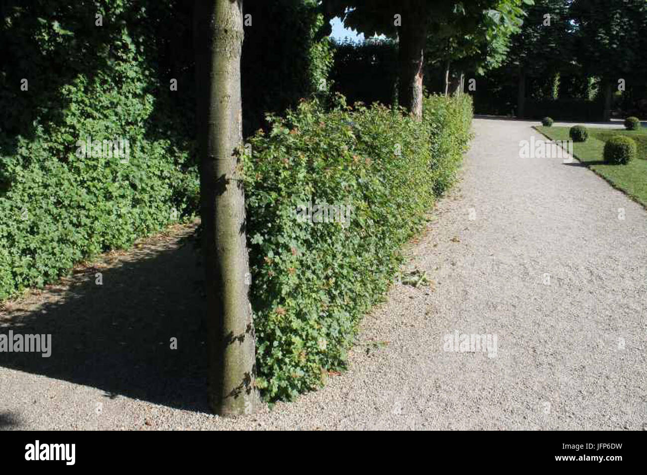 20120518 VídeC588 (506)u Banque D'Images