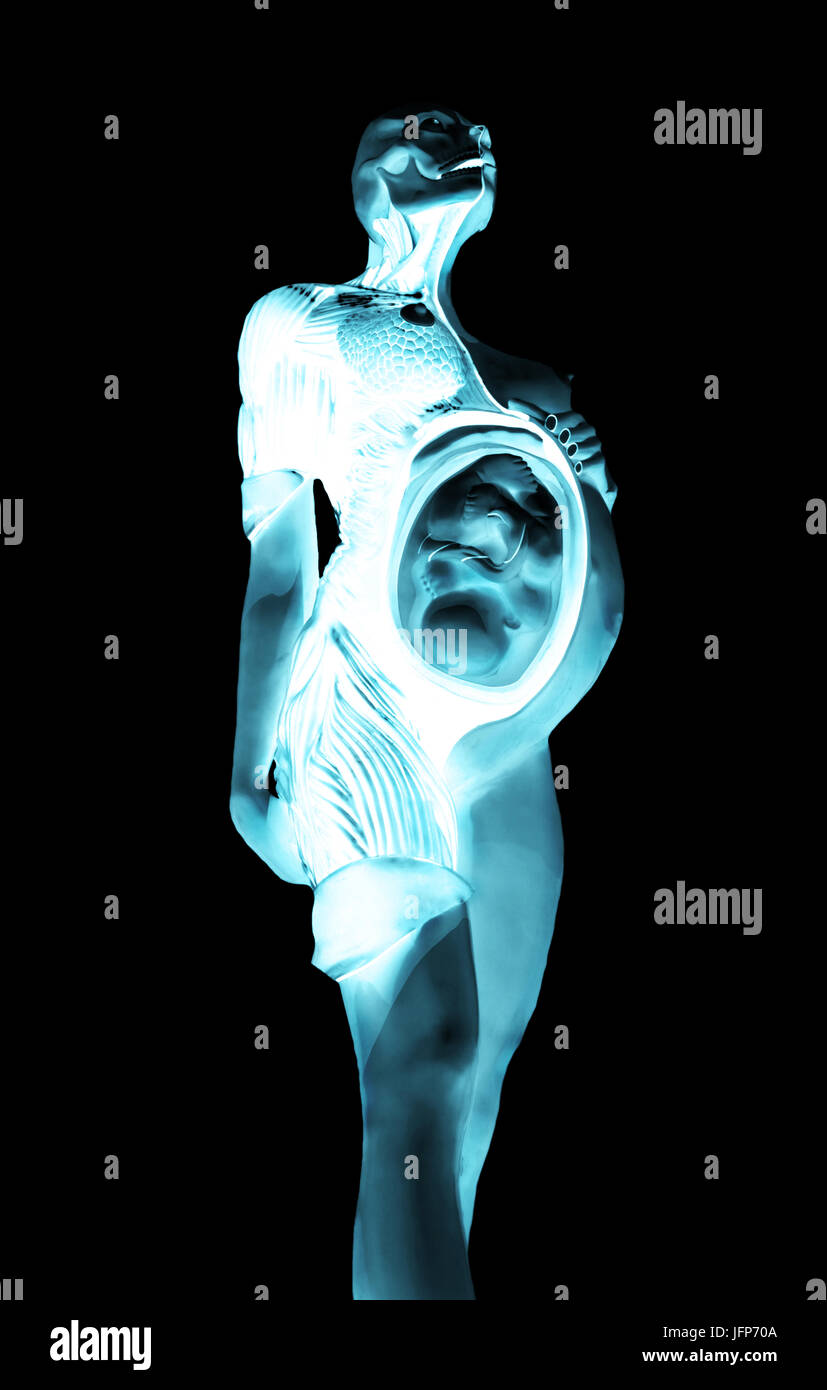 Illustration 3D X-ray image d'une femme enceinte avec bébé Banque D'Images
