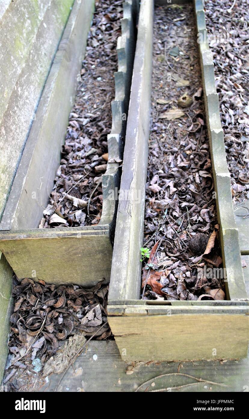 Les vieilles boîtes de plantes à l'automne Banque D'Images