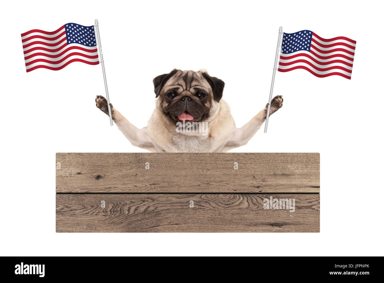 Chiot pug dog avec drapeau national américain des USA et planche en bois signe, isolé sur fond blanc Banque D'Images