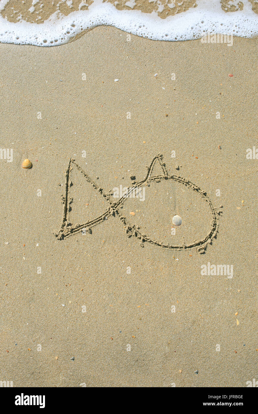 Tiré de poissons sur la plage de sable Banque D'Images