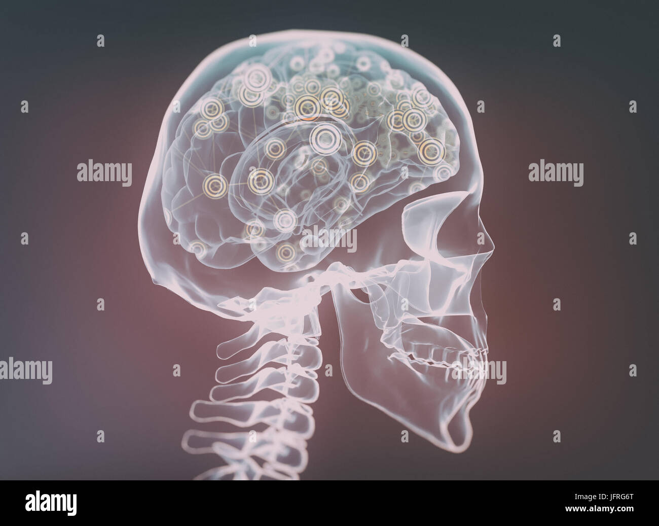 X-ray et le squelette du cerveau isolé sur réseau noir Banque D'Images