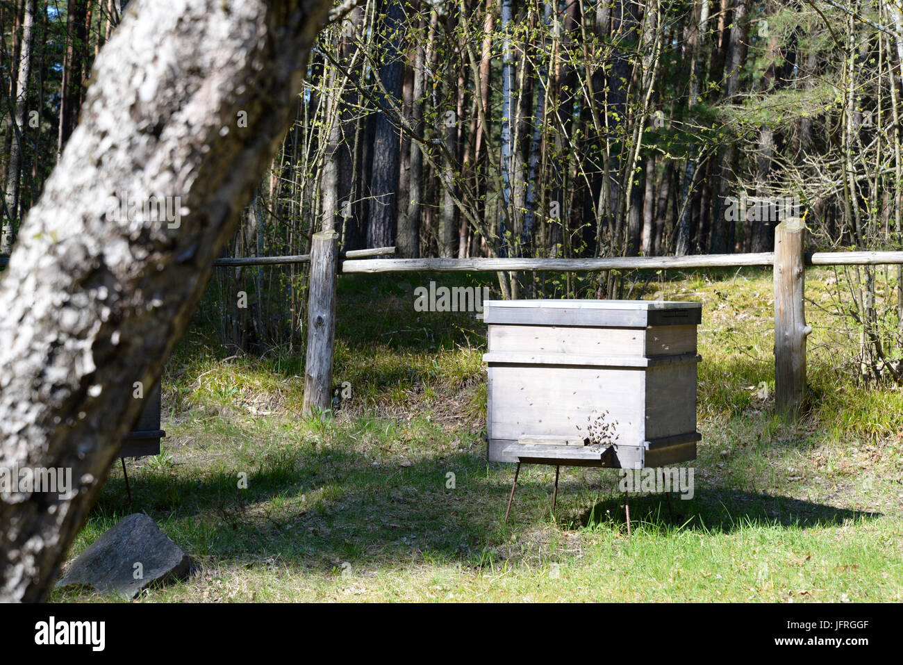 Dans le village de ruche en bois Banque D'Images