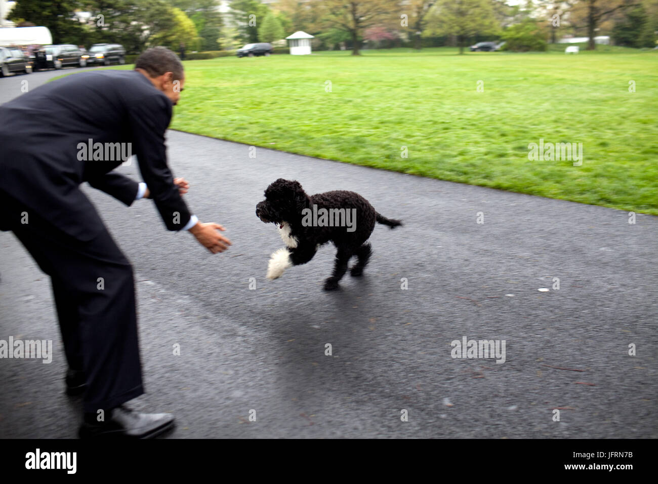 Le président Barack Obama joue avec leur chien 'Bo' 20 avril 2009, sur la pelouse Sud de la Maison Blanche. Photo Officiel de la Maison Blanche par Pete Souza Banque D'Images