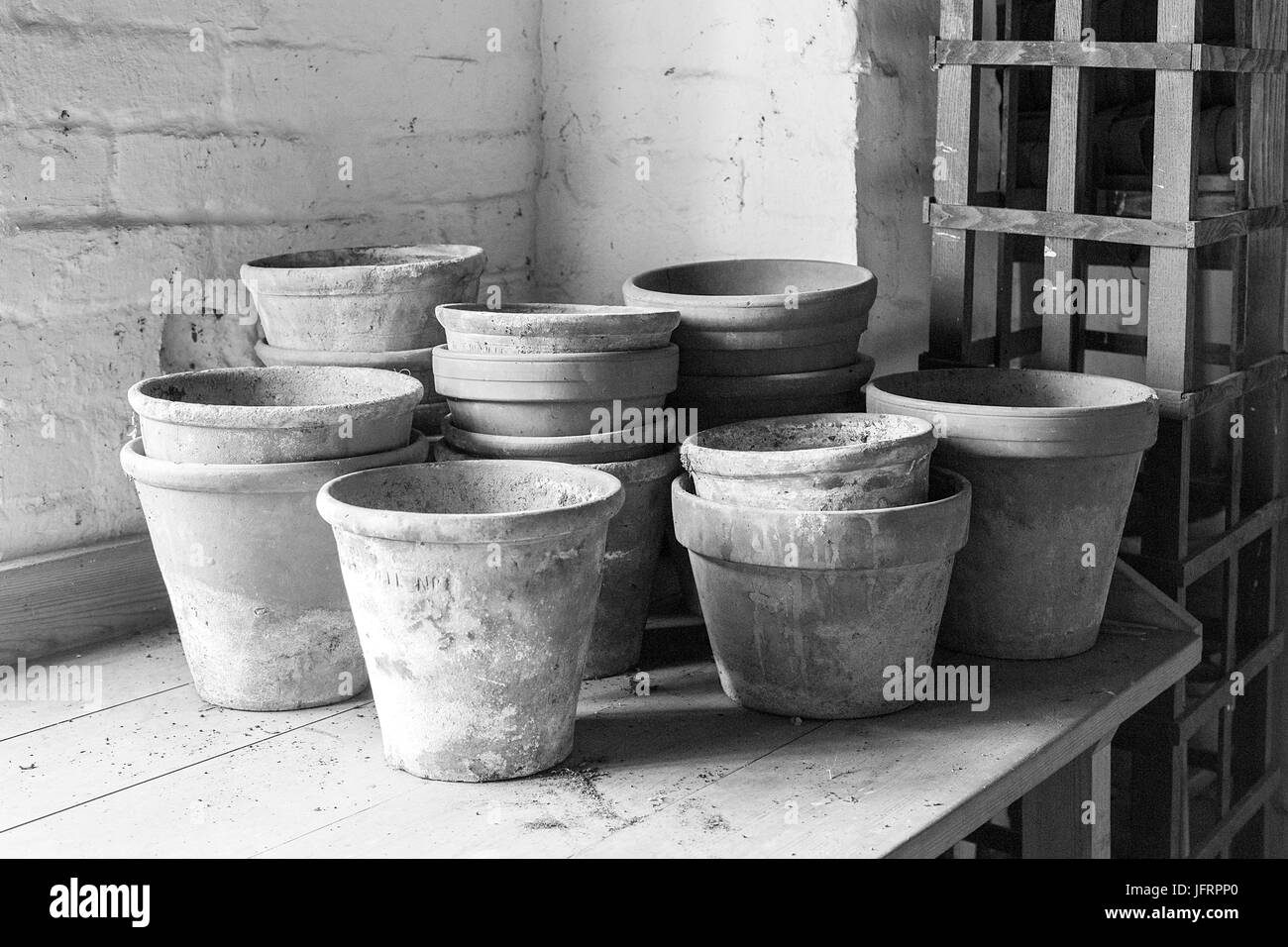 Plantes en Pots Banque D'Images