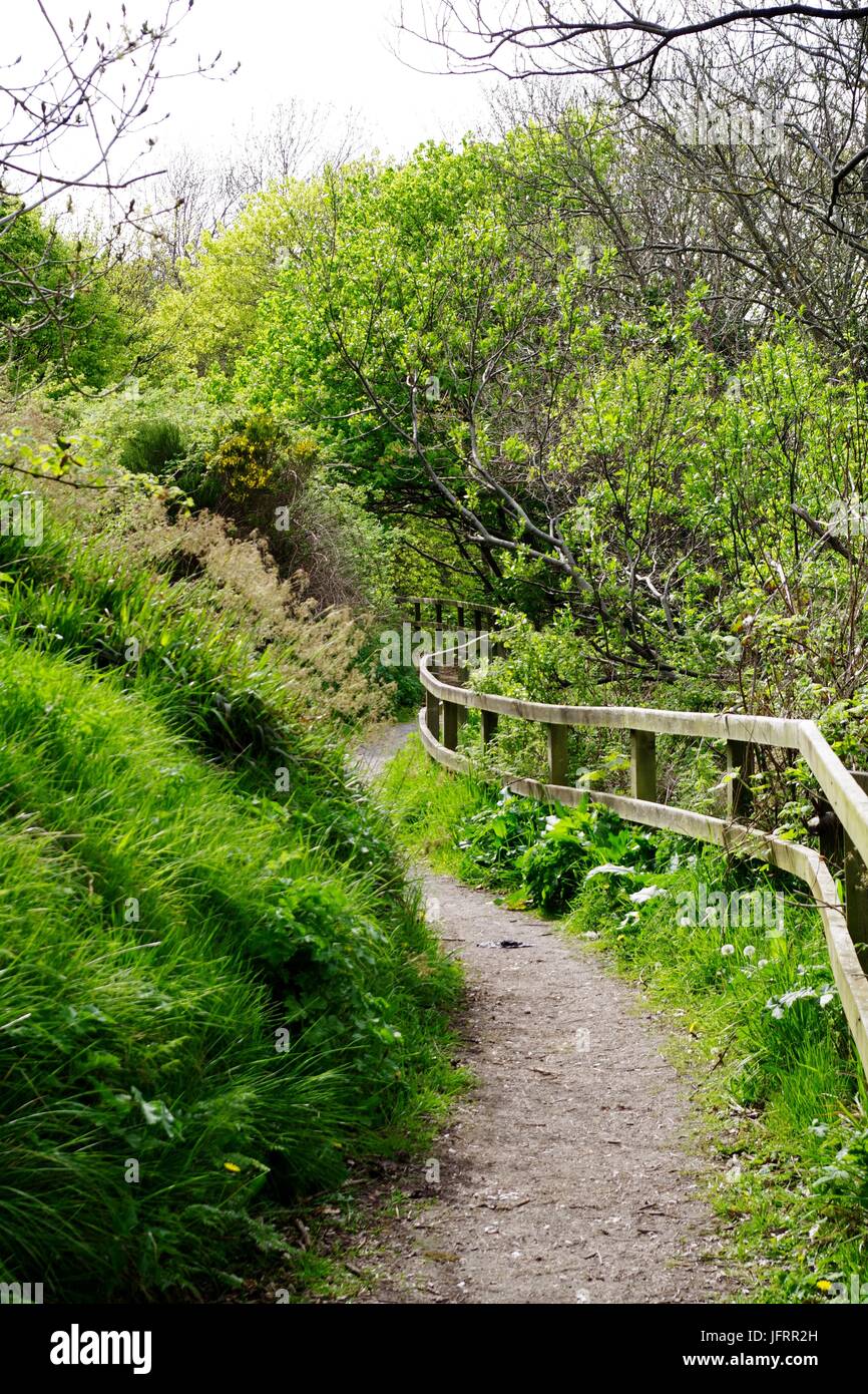 Chemin sinueux le long de la rive sud de la rivière Don, vers le Brig O Balgownie. Aberdeen, Écosse, Royaume-Uni. Mai, 2016. Banque D'Images