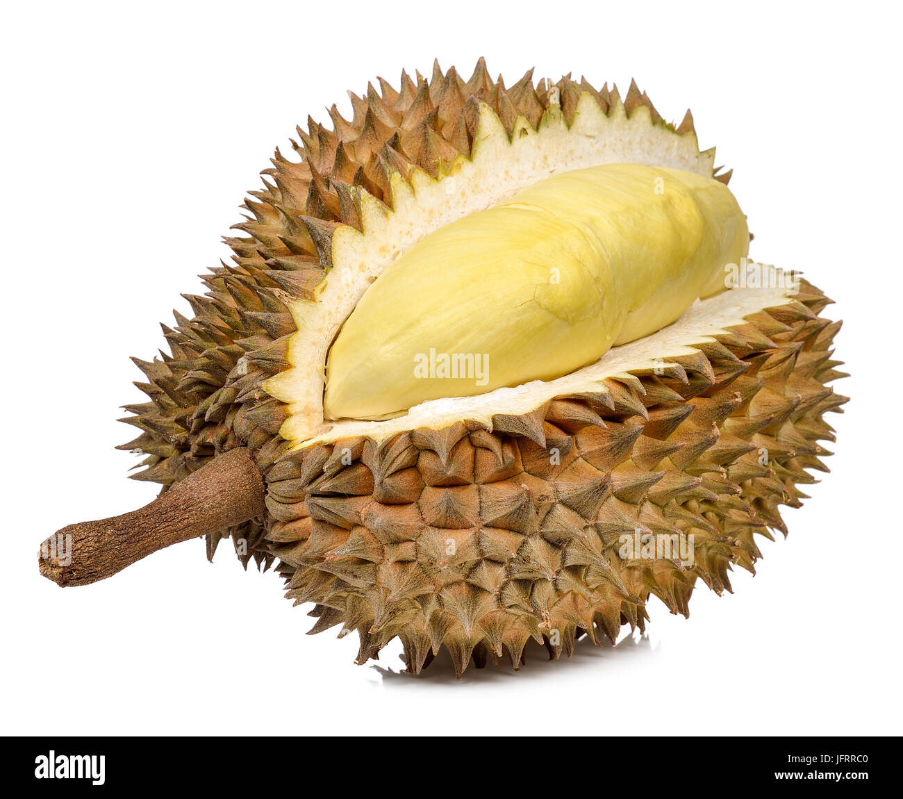 Durian isolé sur le fond blanc . Banque D'Images