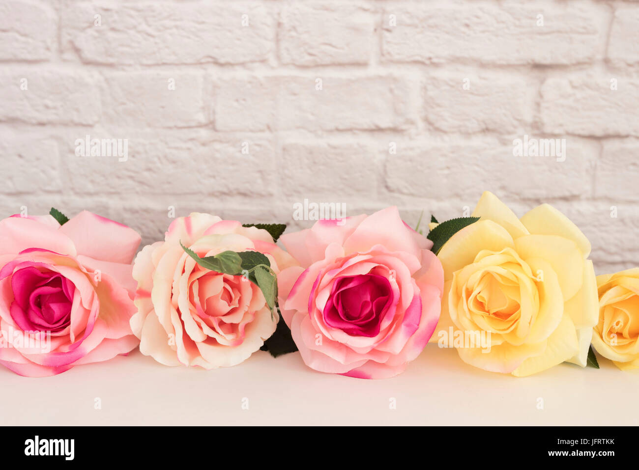 Rose Rose des maquettes. Le titre de Stock Photography. Floral Frame, mur de style maquette. Fleur Rose Valentine immersive, Fête des mères, carte-cadeau, Blanc 24 m Banque D'Images