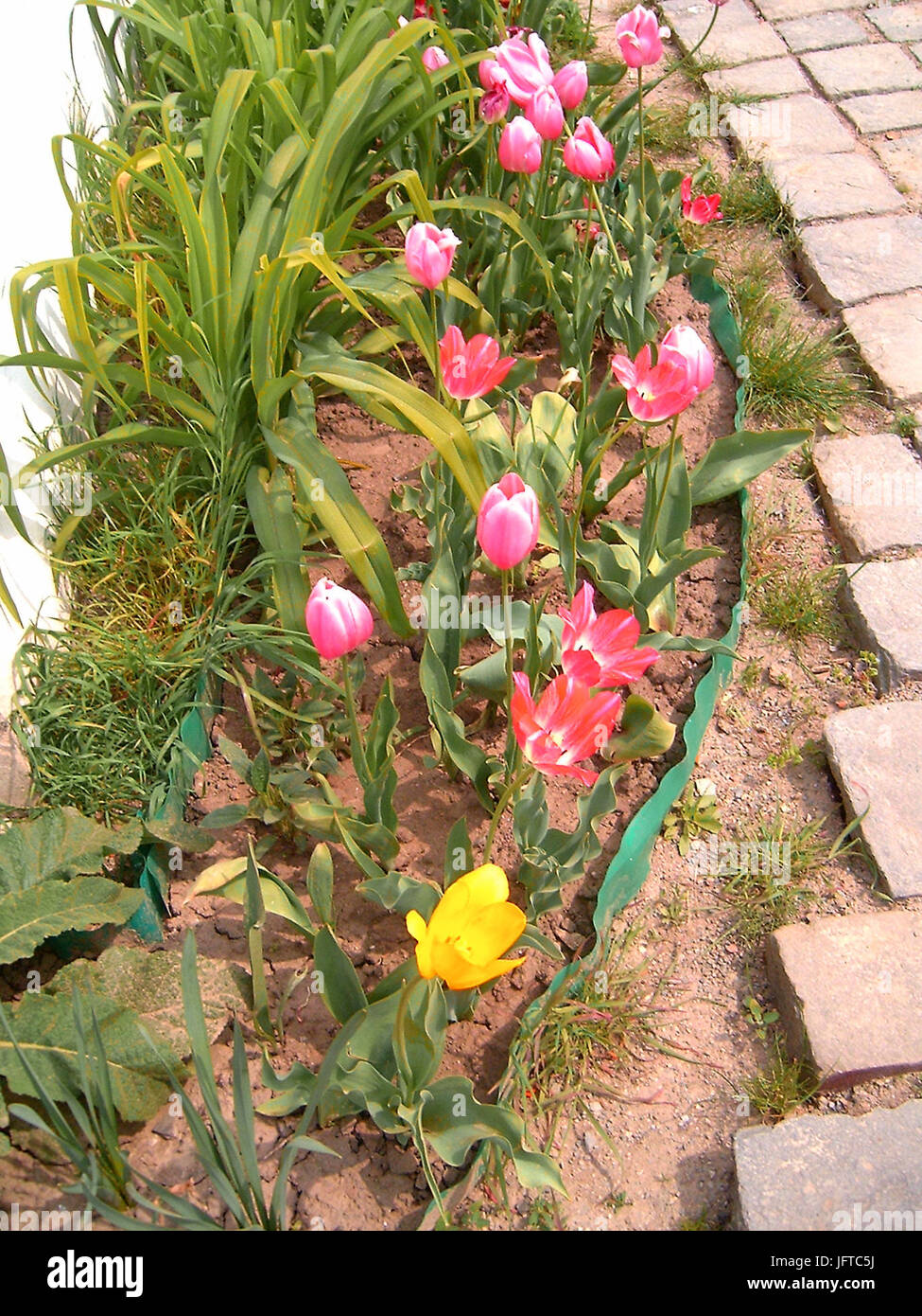 2.html ADl3dš 2550682f Banque D'Images