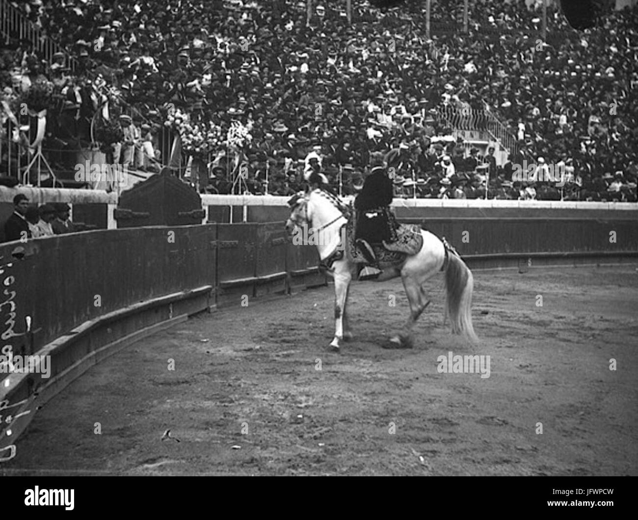 Ơavaleiro tauromơ3A1quico 28ơh.-Fl. 111-656529 Banque D'Images