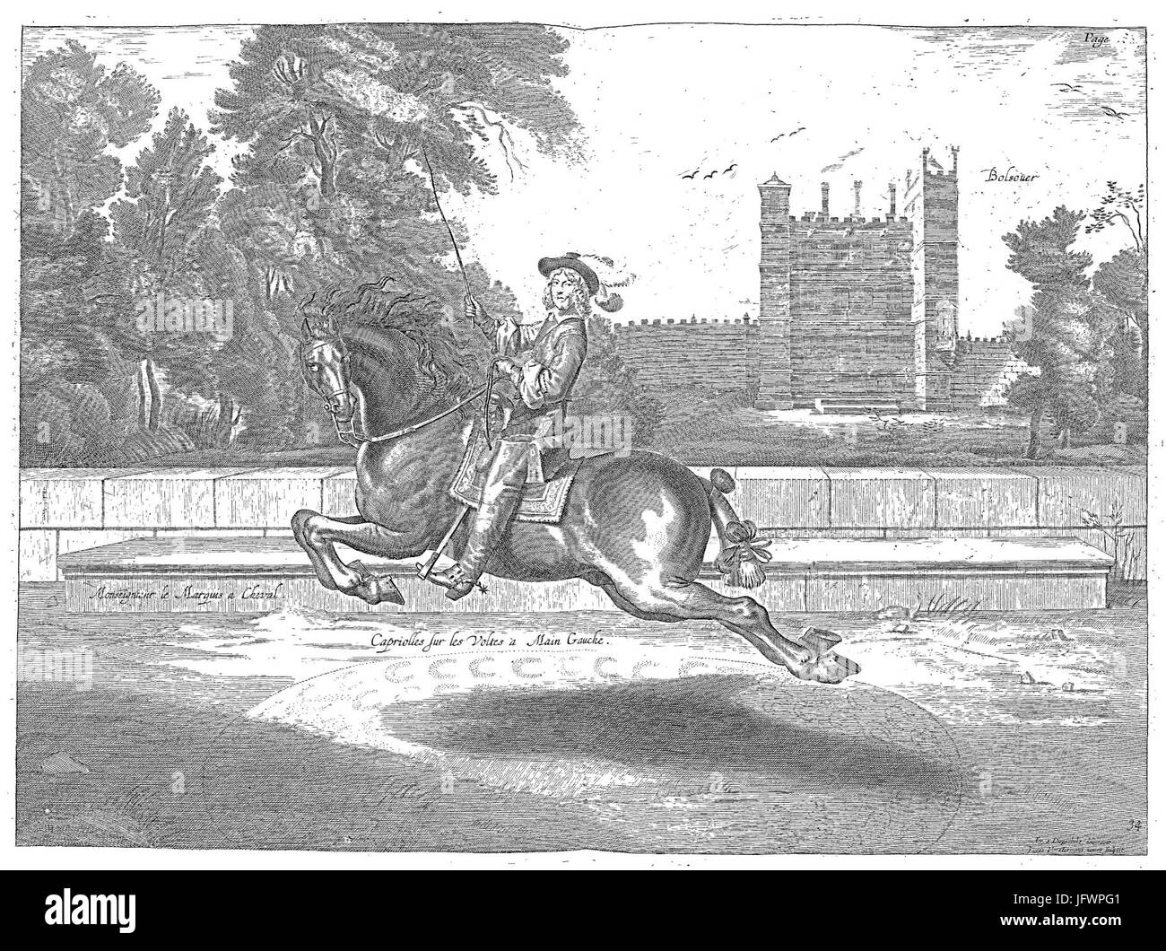 Cavendish - L'Art de dresser les chevaux, 1737-page194 Banque D'Images
