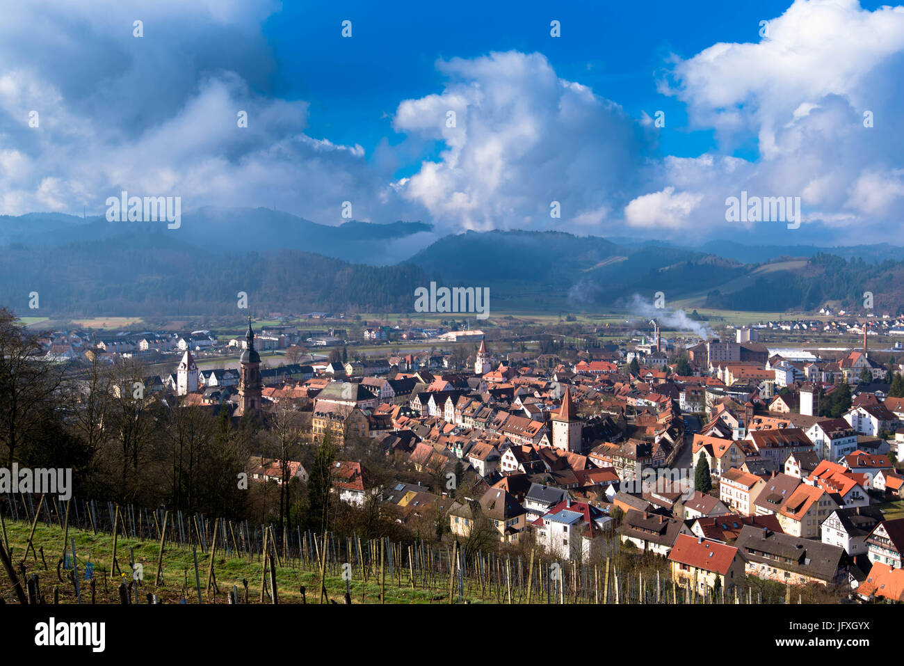 Vue de la ville de Gengenbach dans la région de la Forêt-Noire Banque D'Images