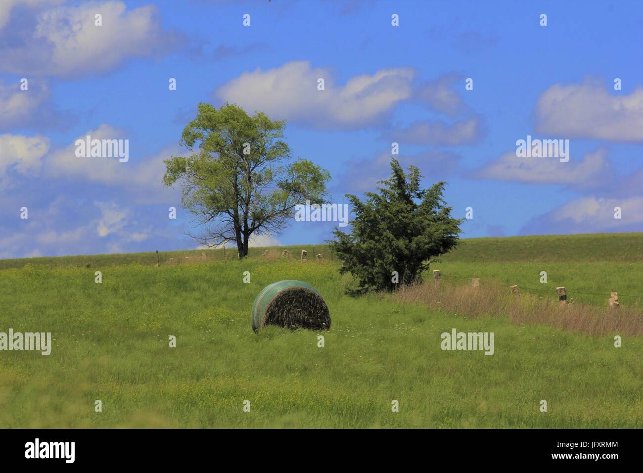 Kansas Pays Paysage avec une balle de foin, des arbres,l'herbe, et le ciel bleu avec des nuages. Banque D'Images