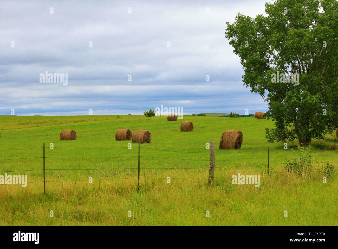 Kansas Champ Pays avec des balles de foin et de clôture Banque D'Images