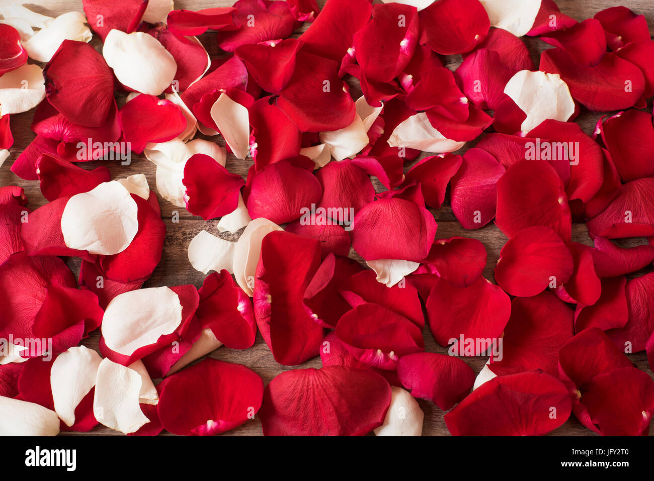 Close up de pétales de rose rouge et blanche sur fond de bois. Floral  background. Rose rouge stock photography. Marketing de style de  photographie. Cadeau de mariage Photo Stock - Alamy