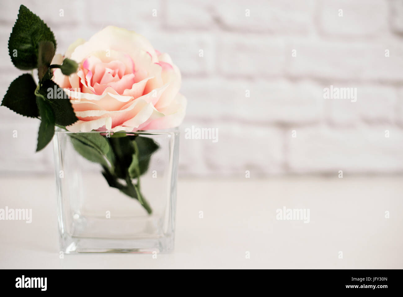 Rose Rose des maquettes. Le titre de Stock Photography. Mur de style floral des maquettes. Fleur Rose Valentine immersive, Fête des mères, carte-cadeau, blanc 24 immersive Banque D'Images