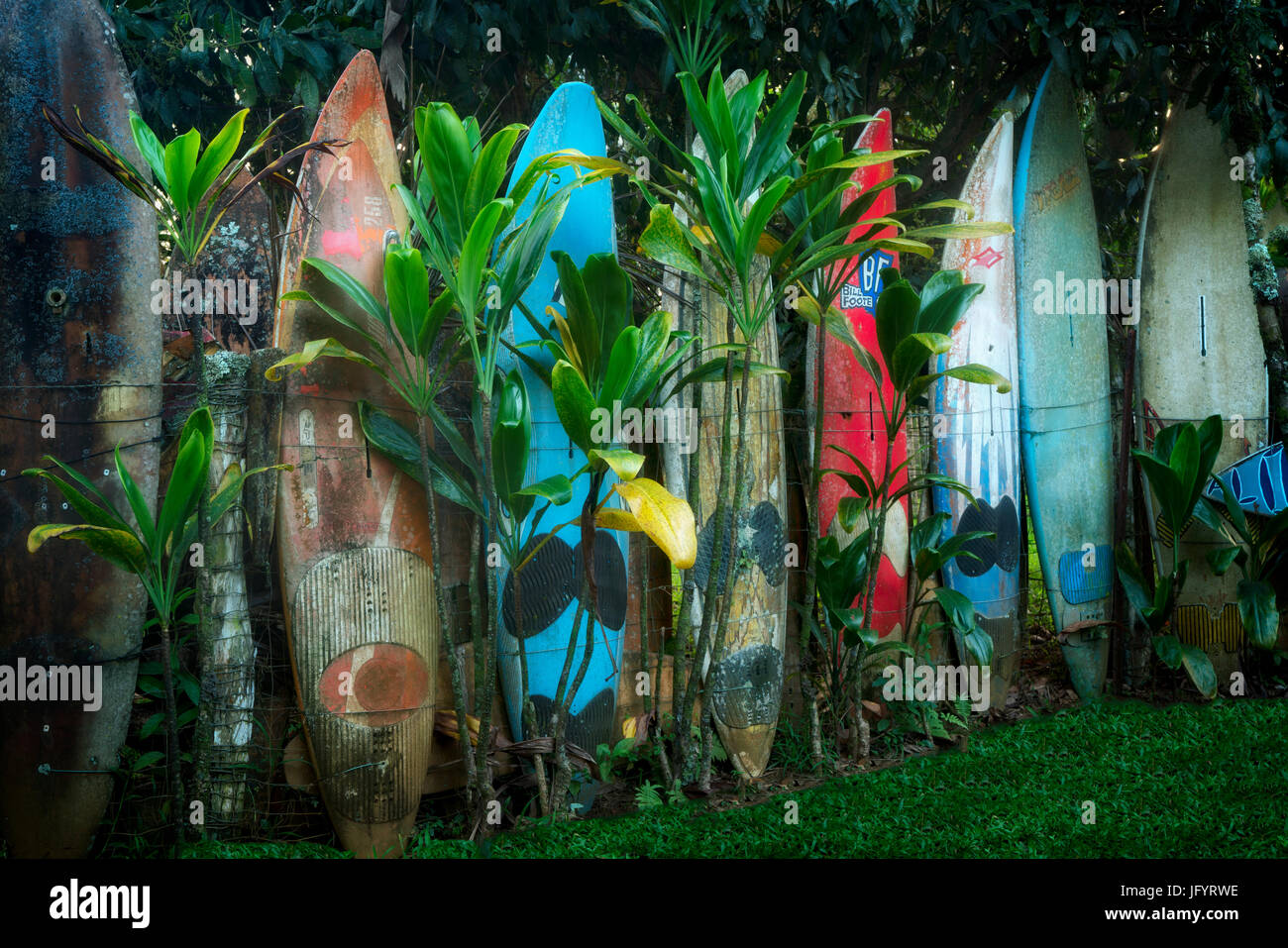 Vieille clôture de planches de surf. Mauai, New York Banque D'Images