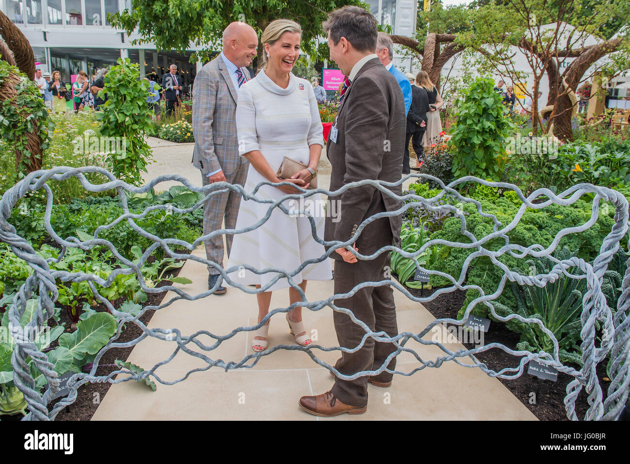 Londres, Royaume-Uni. 3 juillet, 2017. Son Altesse Royale la comtesse de Wessex, avec la barrière designer, patron de l'organisme de bienfaisance, sur les anciens combattants aveugles UK : tout sur son jardin communautaire par Andrew Fisher Tomlin et Dan Bowyer - l'Hampton Court Flower Show, organisé par la Royal Horticultural Society (RHS). Dans le parc de l'hôtel Hampton Court Palace, Londres. Crédit : Guy Bell/Alamy Live News Banque D'Images