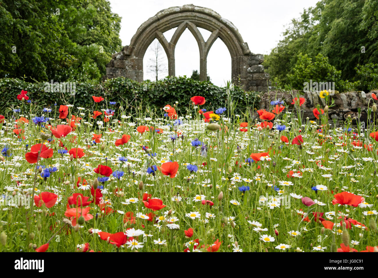 Middleton-in-Teesdale, comté de Durham au Royaume-Uni. Lundi 3 juillet 2017. Météo britannique. Après une période de pluie tôt le matin l'église St Marie la Vierge jardin de fleurs sauvages à Middleton-in-Teesdale offre un affichage de la couleur malgré le ciel gris. Crédit : David Forster/Alamy Live News Banque D'Images