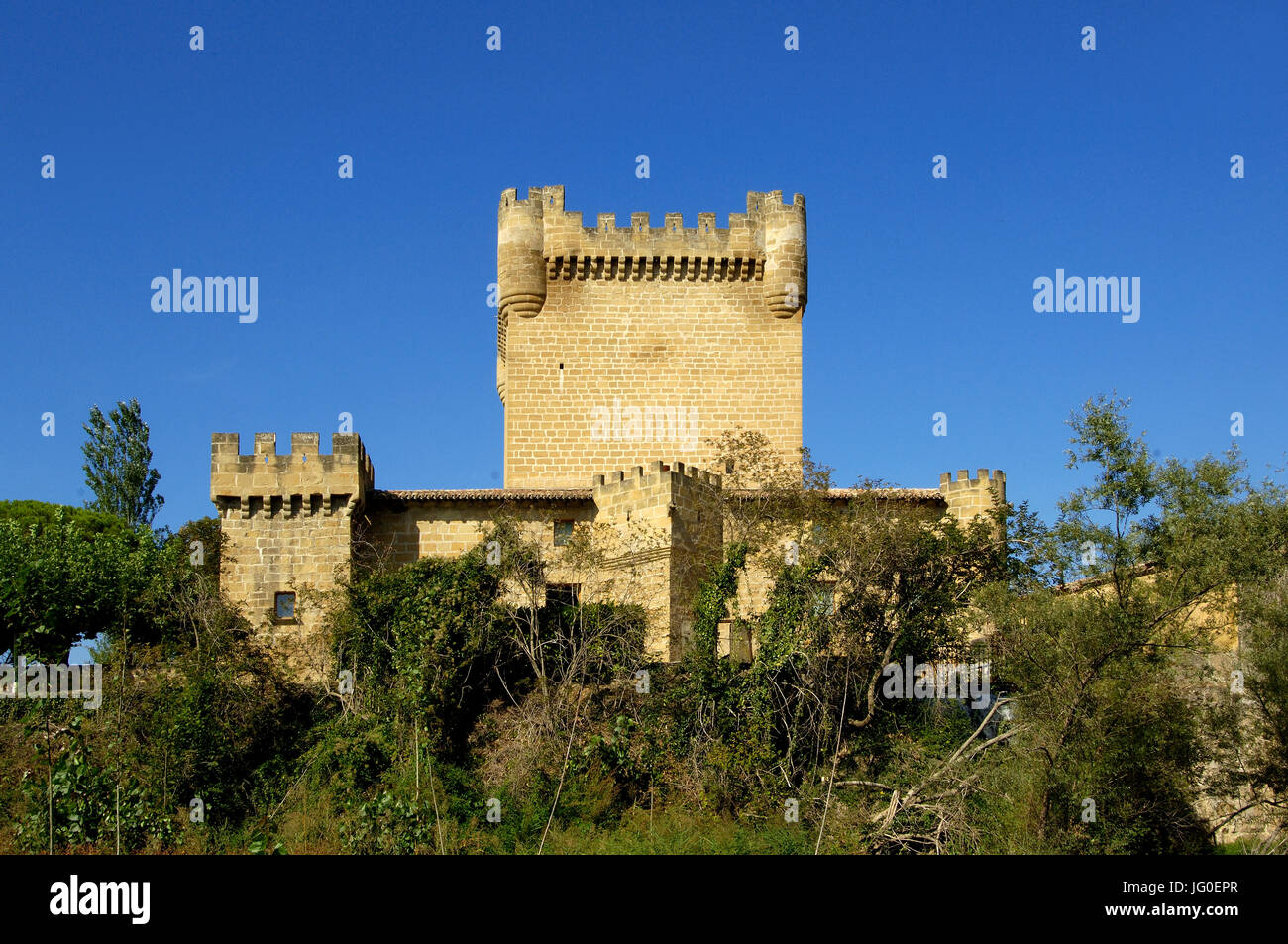 Château, Cuzcurrita de Rio Tirón, La Rioja, Espagne Banque D'Images