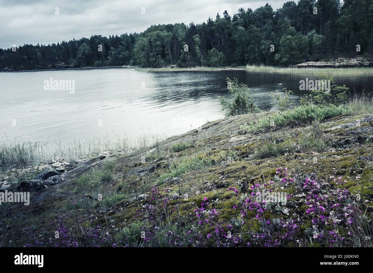 Paysage lac encore froid en journée d'été. 3020 f, la Russie. Filtre de correction tonale vintage, blue mood Banque D'Images