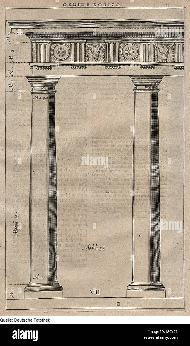 Fotothek df tg 0003899 Architektur 5E Bauwesen Säule 5E 5E 5E Base dorische Ordnung Kapitell 5E 5E 5E K Frites Banque D'Images